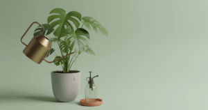 Minimalistisches Studio-Stillleben: Monstera im Keramiktopf wird mit Metall-Gießkanne gegossen; Sprühflasche und Untersetzer als Funktionshinweis.